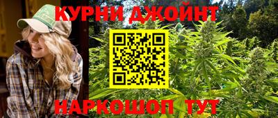 гашик Донской