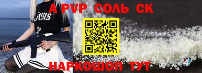 гашик Донской