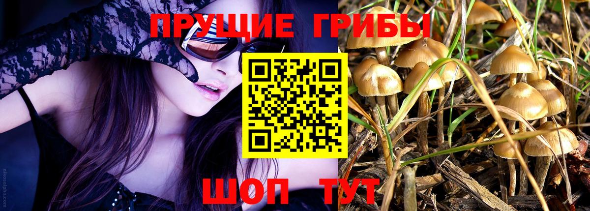Псилоцибиновые грибы ЛСД Калуга
