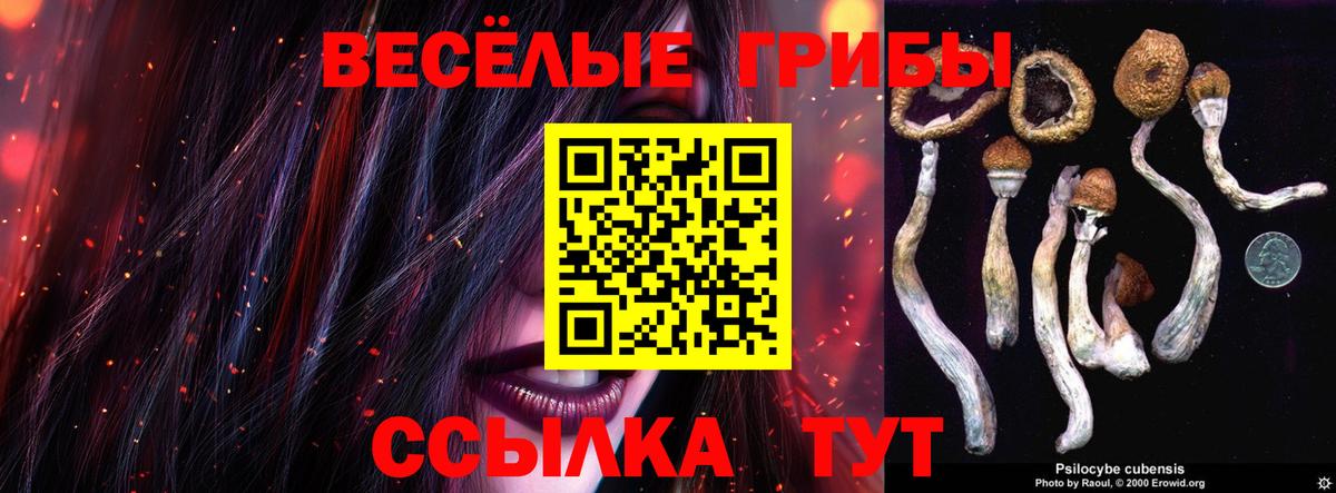 Галлюциногенные грибы Psilocybe  Вход с VPN  Калуга  Псилоцибиновые грибы Cubensis 